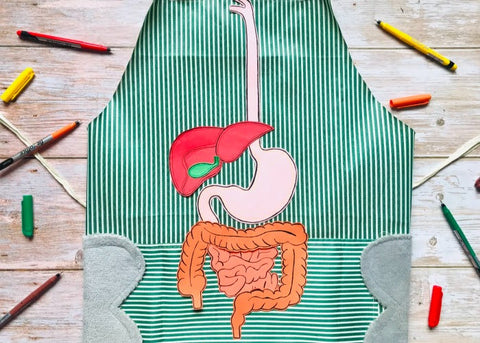 Digestive System Apron