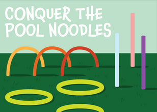 Conquer the Pool Noodles