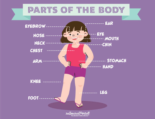 Parts of the Body - Female – rePo! Shop