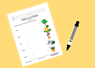 Match Your Plants