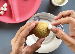 Presidential Cookies