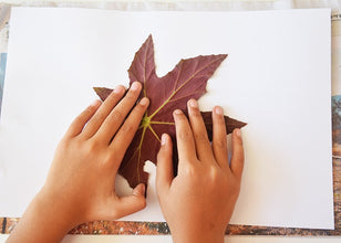 Colorful Leaf Profile