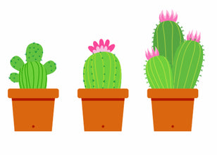 C is for Clay and Cacti!